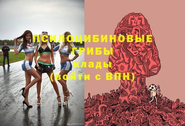 герыч Алзамай