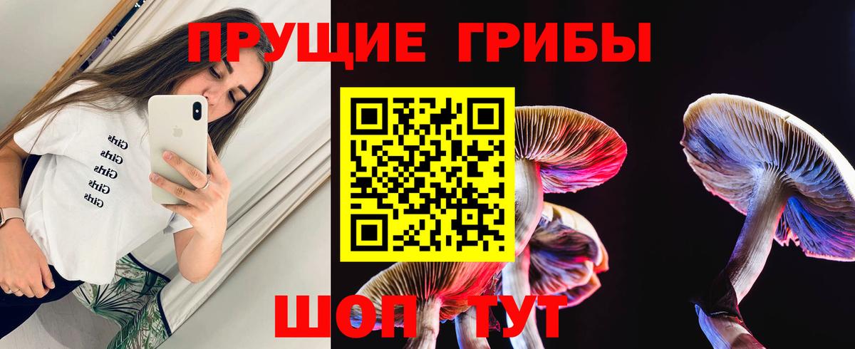 Псилоцибиновые грибы MAGIC MUSHROOMS  Вход с VPN  Евпатория 